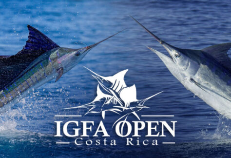 IGFA OPEN