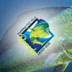 Dorado Derby Dos